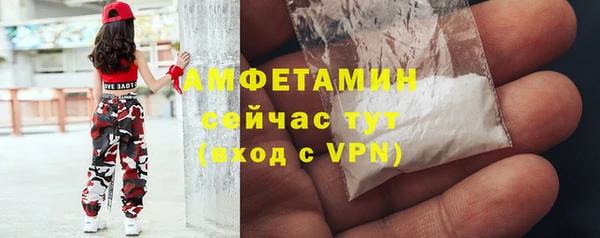 прущие грибы Балабаново