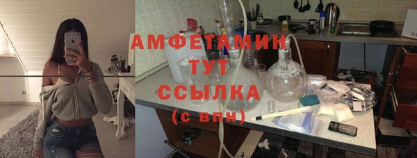 прущие грибы Балабаново