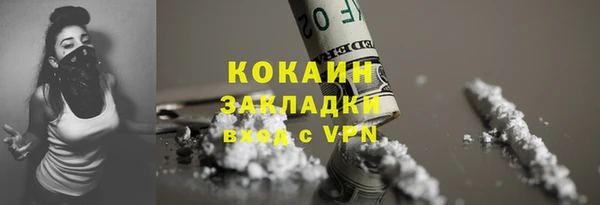 прущие грибы Балабаново