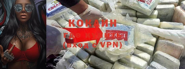 прущие грибы Балабаново