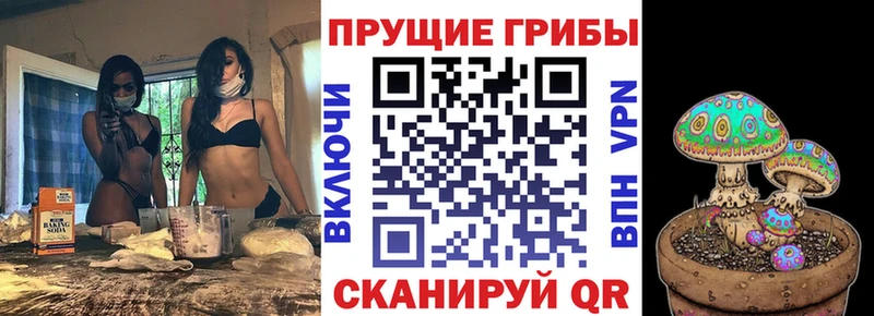 Псилоцибиновые грибы Magic Shrooms Горбатов